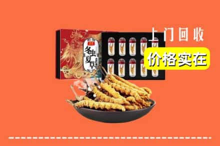 江州区回收虫草